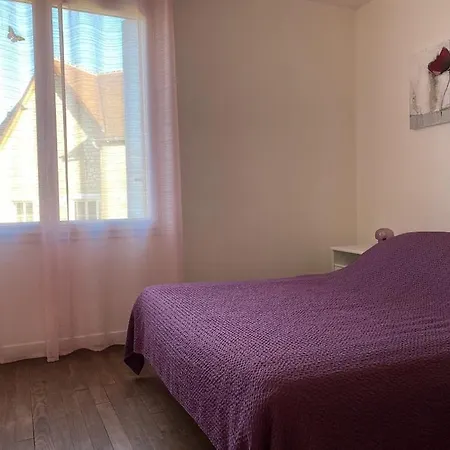 Lilas Aux Lits De La Gartempe Lejlighed *